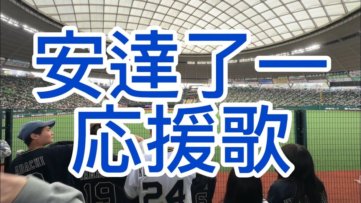 オリックスバファローズ　安達了一　2024