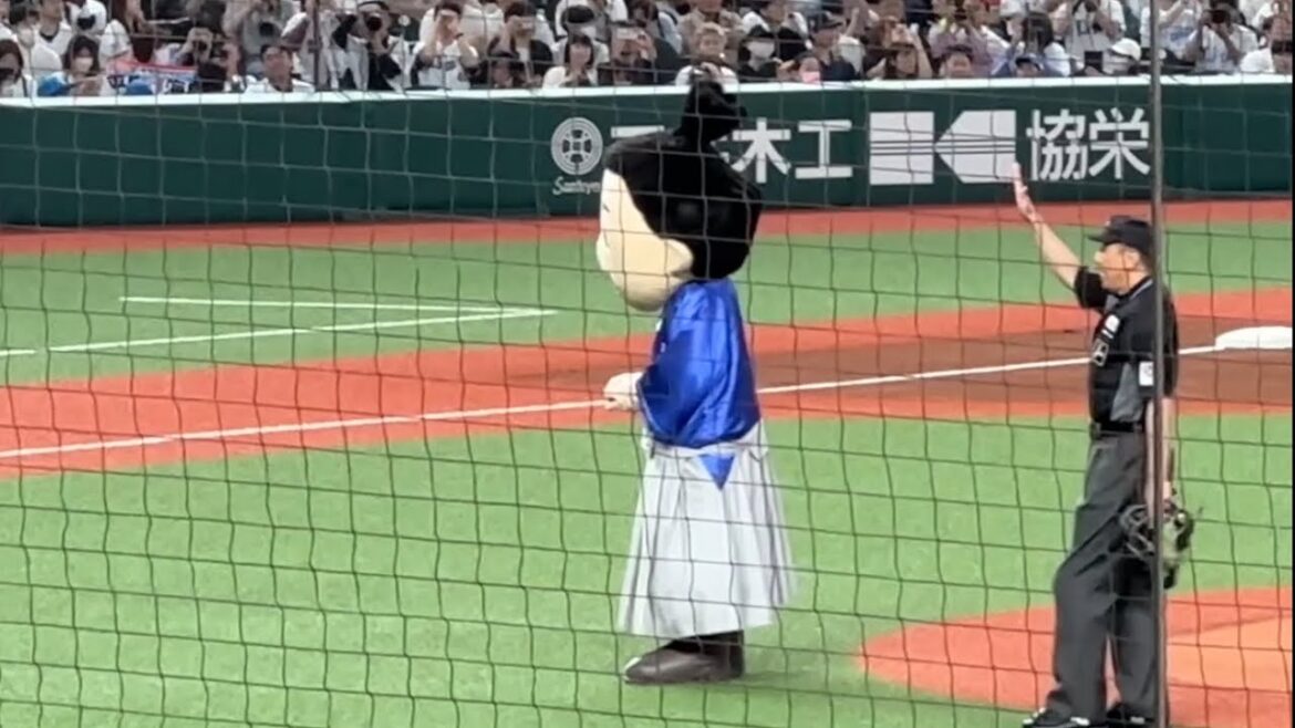 新庄監督ベルーナドーム初ハイタッチ→ライオンズ試合開始スタメン選手登場→坂本龍馬くん始球式【西武vs日本ハム】2024/4/30
