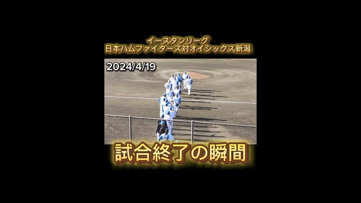 【2024/4/19】ファイターズが勝った瞬間 イースタンリーグ公式戦 #shorts #北海道日本ハムファイターズ #オイシックス新潟アルビレックスbc