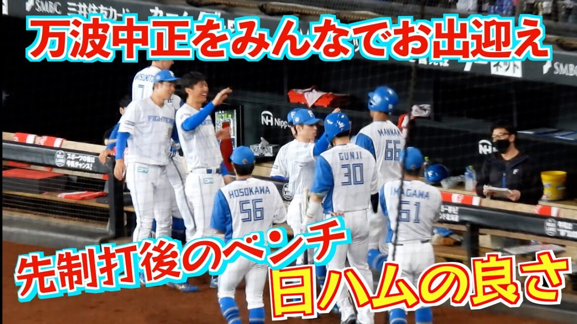 【20240511】万波中正の先制打後、ベンチに戻ったときの出来事