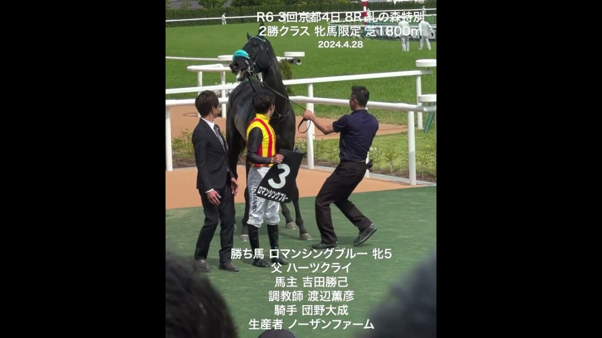 糺の森特別 渡辺薫彦厩舎のロマンシングブルーが直線で抜け出し快勝