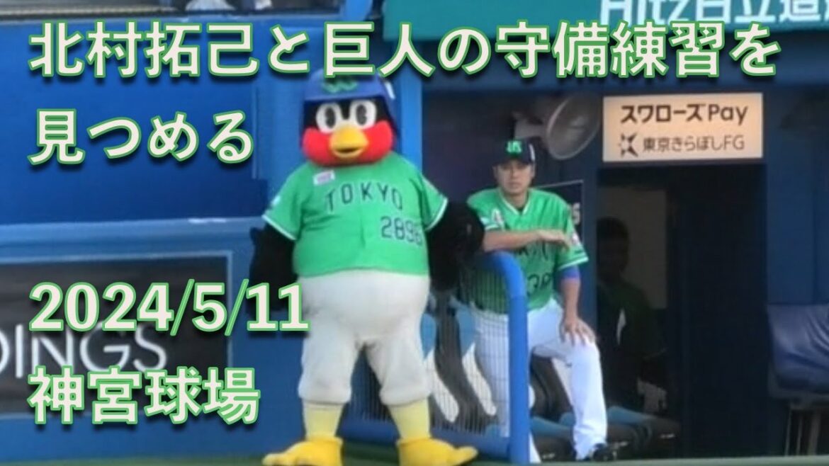 つば九郎、北村拓己と巨人の守備練習を見つめる 20240511
