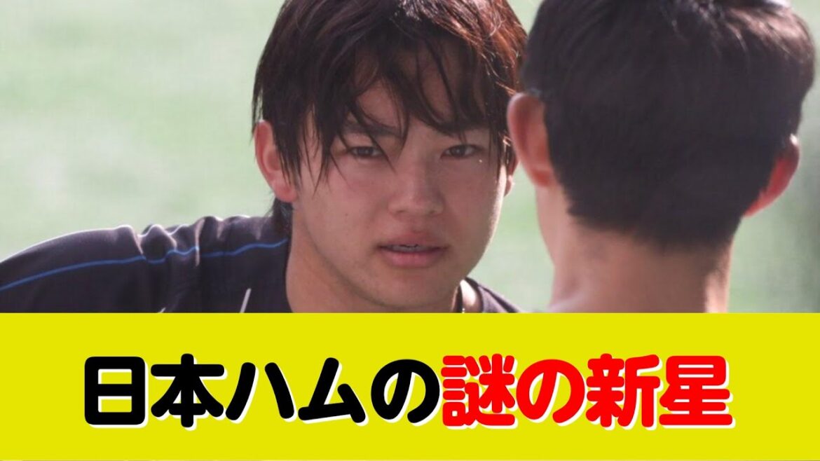 日本ハムの謎の新星キャッチャーが可愛すぎる件ｗ