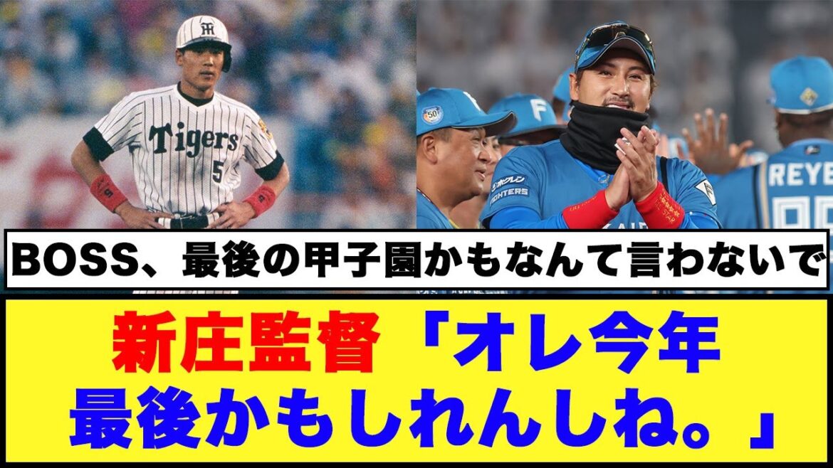 【日本ハム】新庄監督「オレ今年最後かもしれんしね。」「かみしめながら戦いたいと思います」【日本ハム反応集】【ネットの反応】#日本ハムファイターズ #新庄監督 #阪神タイガース #新庄剛志
