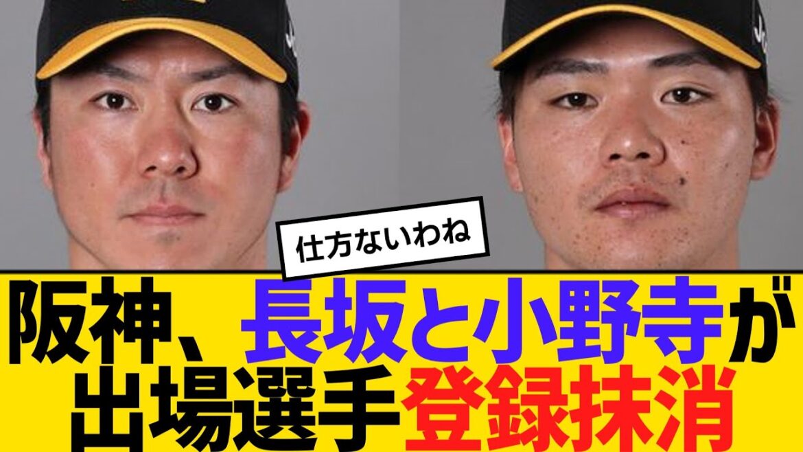 阪神、長坂と小野寺が出場選手登録抹消　【2ch】【5ch】【反応】