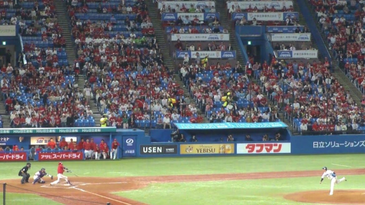 広島 野間峻祥 今日2本目のタイムリーヒット　ヤクルト vs 広島　2024年4月25日(木)