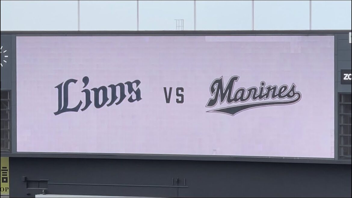 20240506　　Pacific League　CHIBA LOTTE MARINES - SAITAMA SEIBU LIONS　　パ・リーグ公式戦　ロッテ－西武　ＺＯＺＯ