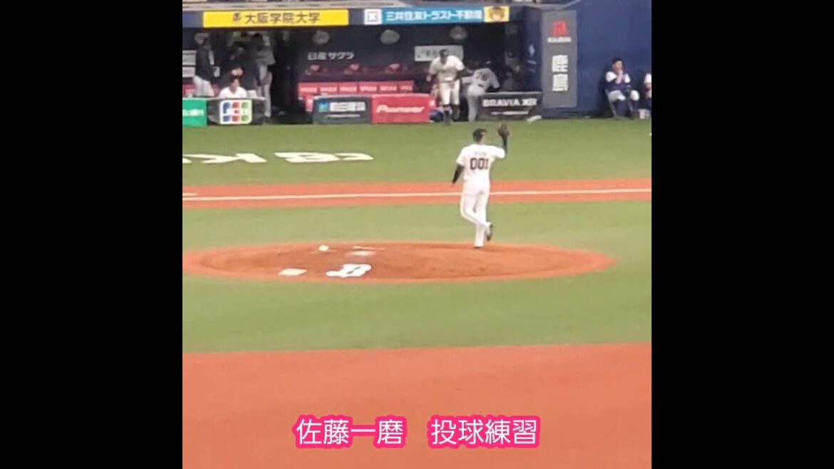 20240306　育成選手の先発 佐藤一磨の投球練習　#shorts　ｵﾘｯｸｽ･ﾊﾞﾌｧﾛｰｽﾞ@京ｾﾗﾄﾞｰﾑ大阪･ﾚﾌﾄ外野下段 ｵｰﾌﾟﾝ戦