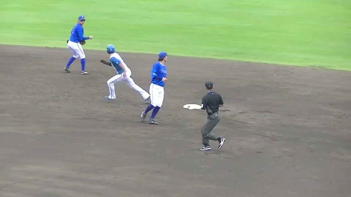 水谷瞬の打球 森敬斗が上手すぎる！【日本ハムファイターズ対 横浜DeNAベイスターズ2024年5月8日】