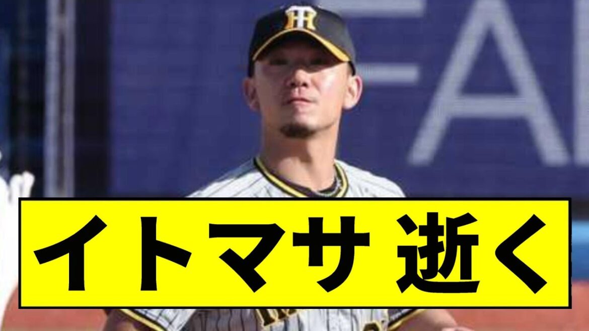 【阪神】イトマサ、ド派手に逝く...【2chスレ】