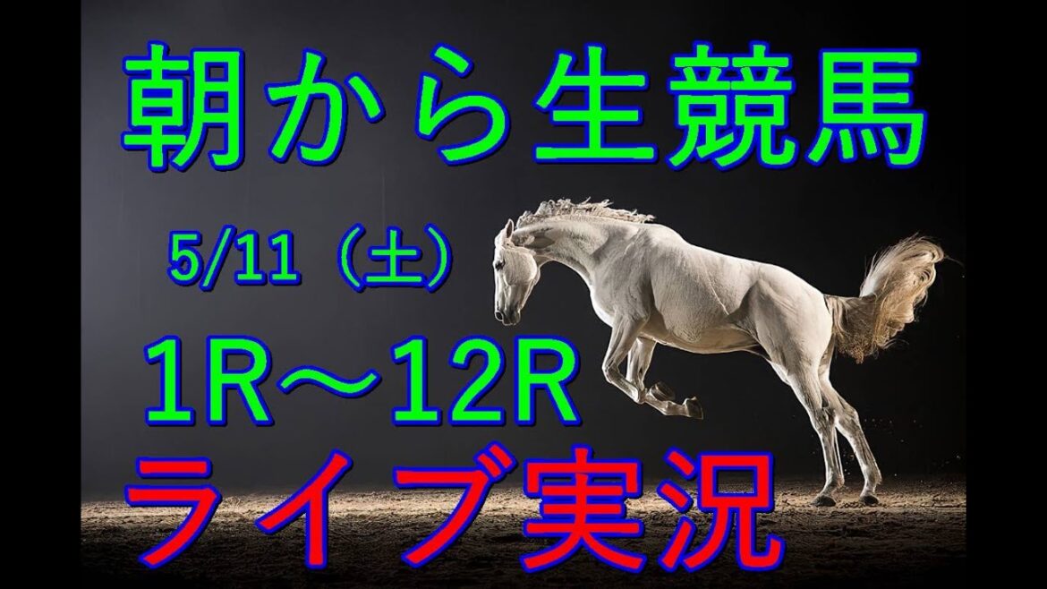 【競馬】中央競馬!生配信!! Horse Racing Commentary as huge as a horse’s !(新潟、京都、東京) 【競馬】中央競馬!生配信!! Horse Racing Commentary as huge as a horse’s !(新潟、京都、東京)