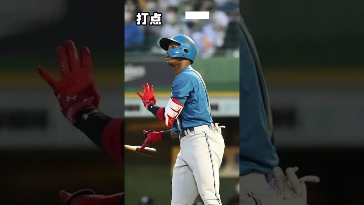 【30秒シリーズ① 2023打者編】30秒でわかる北海道日ハムファイターズのチーム内成績 #日ハム#プロ野球#万波中正#松本剛