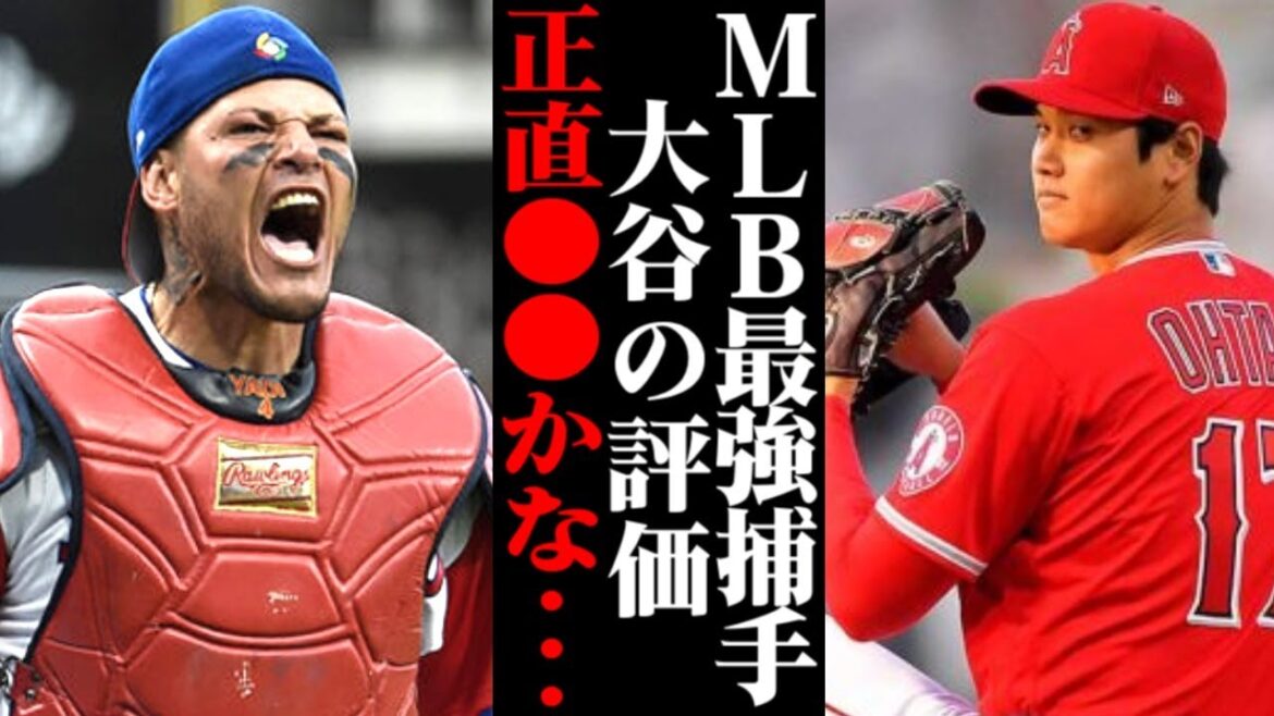 メジャー最強捕手が語った大谷翔平に対する評価が…【海外の反応/メジャーリーグ/MLB】