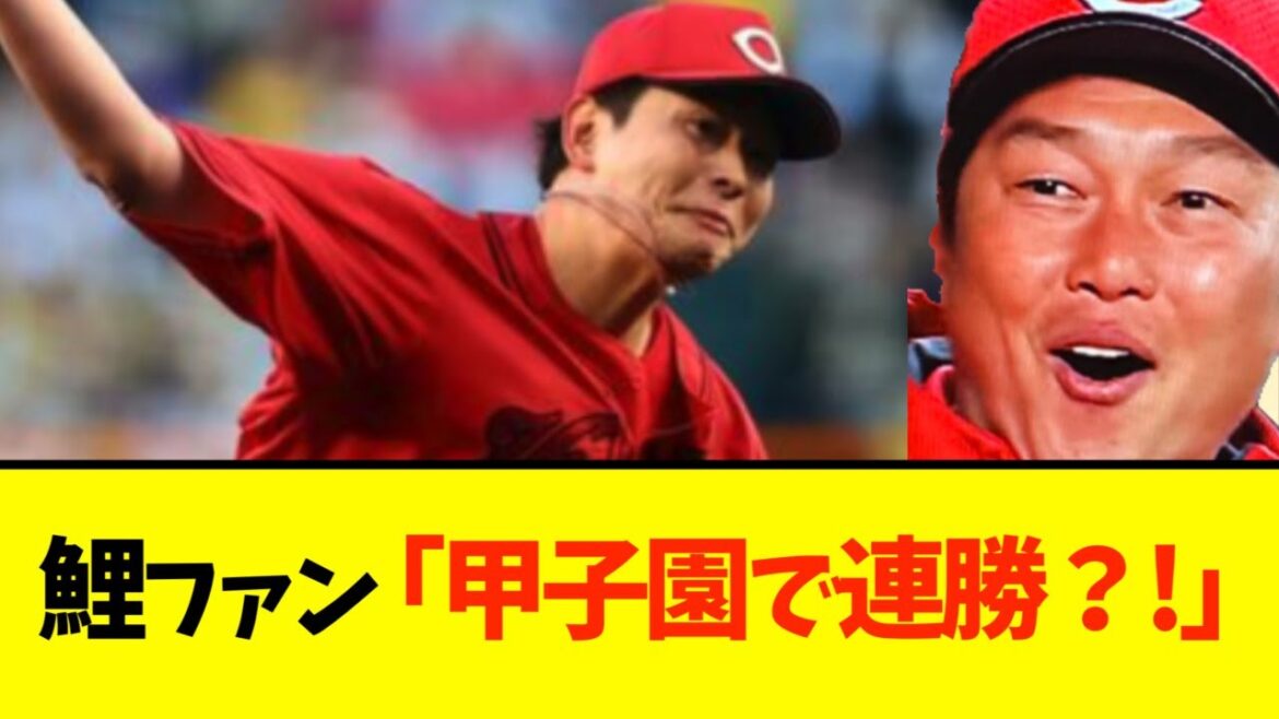 今年の広島、甲子園で強い
