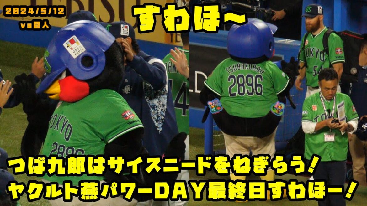 つば九郎はサイスニードをねぎらう！ヤクルト燕パワーDAY最終日ですわほー！！　2024/5/12 vs巨人