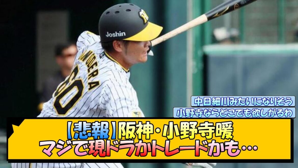【悲報】阪神・小野寺暖 マジで現ドラかトレードかも…【なんJ/2ch/5ch/ネット 反応 まとめ/阪神タイガース/岡田監督/現役ドラフト】