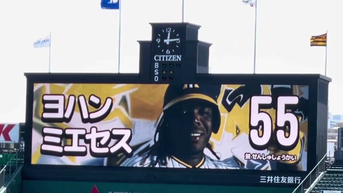 【ミエセス選手ｽﾀﾒﾝ】 習い事あり#阪神タイガース ✨#スタメン発表 🐯先発 #西純矢 投手 24.5.5.🆚 #くふうハヤテベンチャーズ静岡 🏟#阪神甲子園球場 ファーム ウエスタンリーグ公式戦