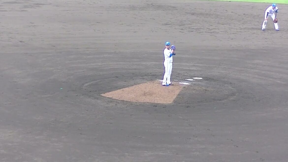 日本ハムファイターズ福田俊の投球フォームと球筋【日本ハムファイターズ対 横浜DeNAベイスターズ2024年5月8日】