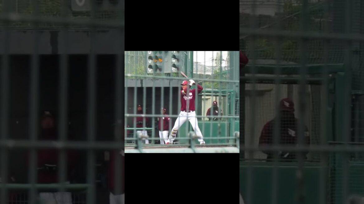 楽天 澤野聖悠2024バッティングフォーム（春季教育リーグ 千葉ロッテマリーンズ対 楽天ゴールデンイーグルス） ＃2024年3月5日