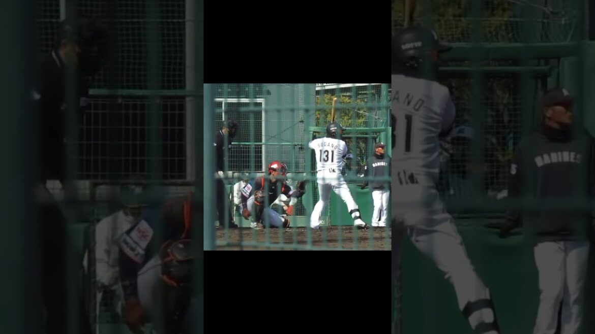 【マリーンズ】菅野剛士の打撃フォーム2024年3月7日 春季教育リーグロッテ浦和球場 千葉ロッテ対 オイシックス新潟アルビレックスBC