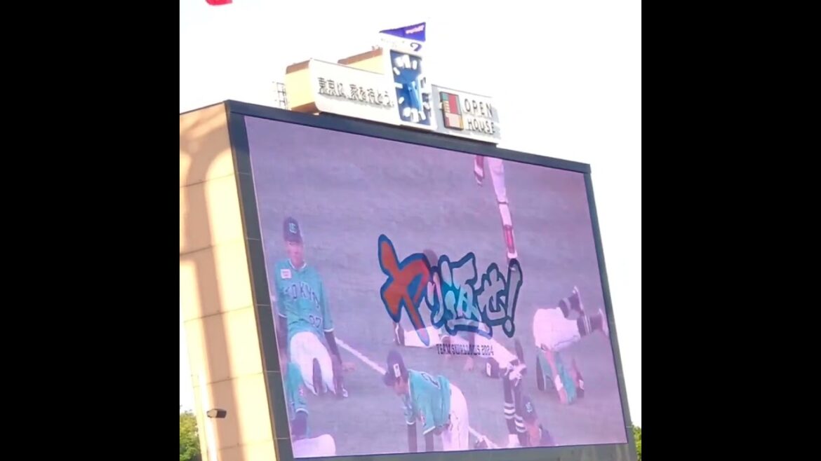 20240511　武岡龍世からウェルカムコメント　東京ﾔｸﾙﾄｽﾜﾛｰｽﾞ主催試合前ｲﾍﾞﾝﾄ@神宮球場･ﾚﾌﾄ外野 明治神宮野球場