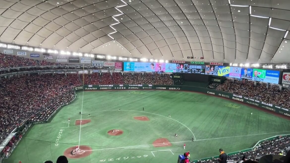 2024 広島カープ 堂林翔太 応援歌