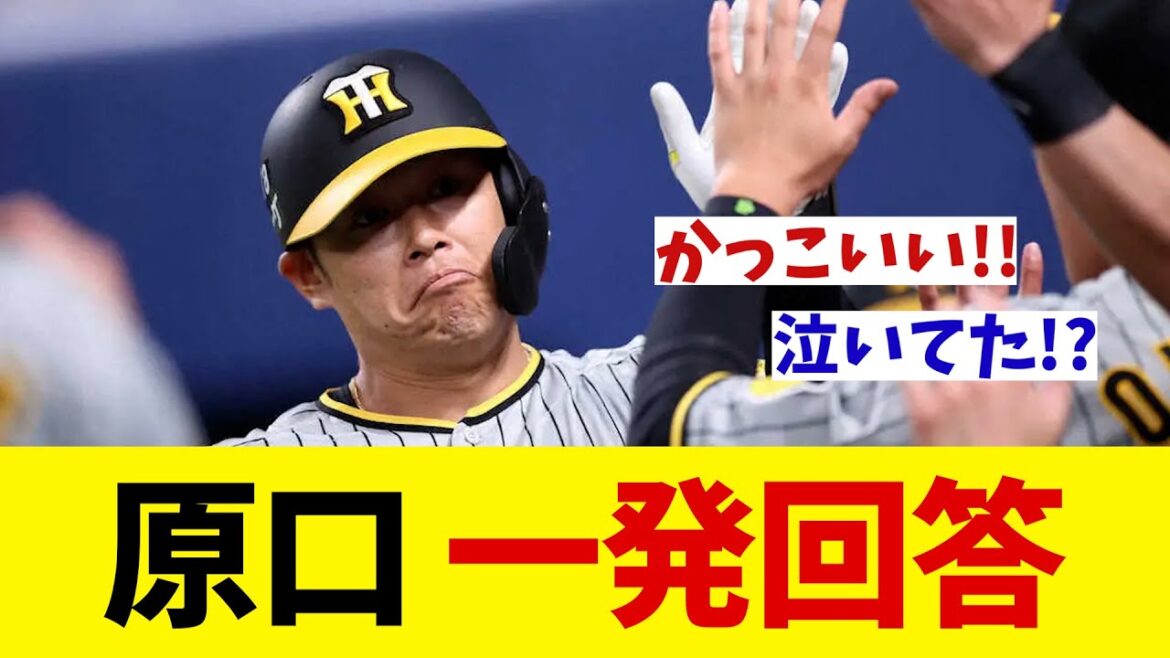 阪神・原口文仁　4番起用に一発回答！！！【野球情報】【2ch 5ch】【なんJ なんG反応】