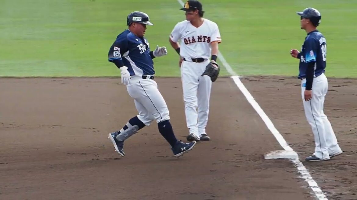 2024.04.30 読売-埼玉西武(ジャイアンツ) 渡部健人 打席シーン