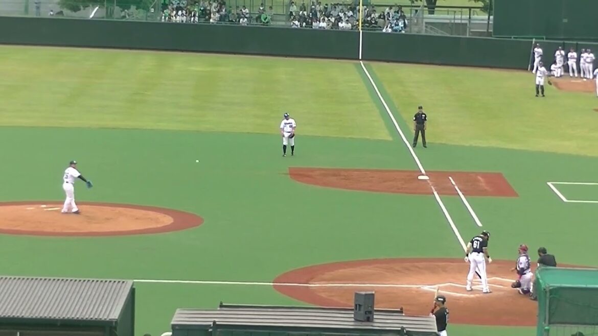 マリーンズ山本大斗センターへヒットを放つ2024年5月12日  ヤクルトスワローズ対ロッテマリーンズ