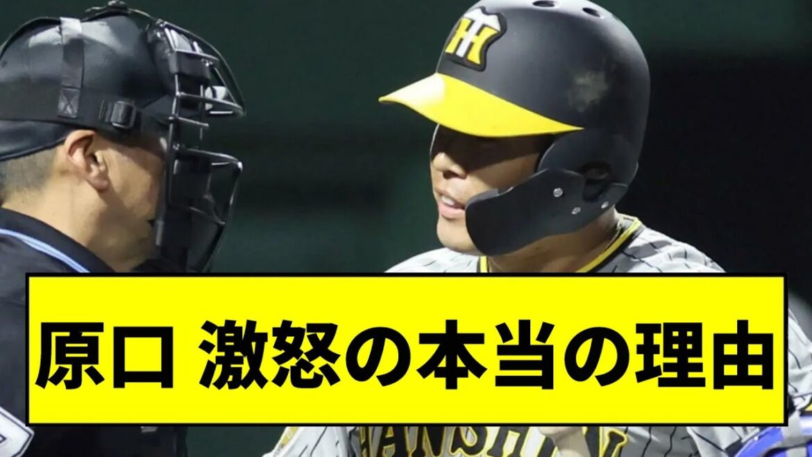 【阪神】原口が激怒した本当の理由wwwwwww【2chスレ】 【阪神】原口が激怒した本当の理由wwwwwww【2chスレ】