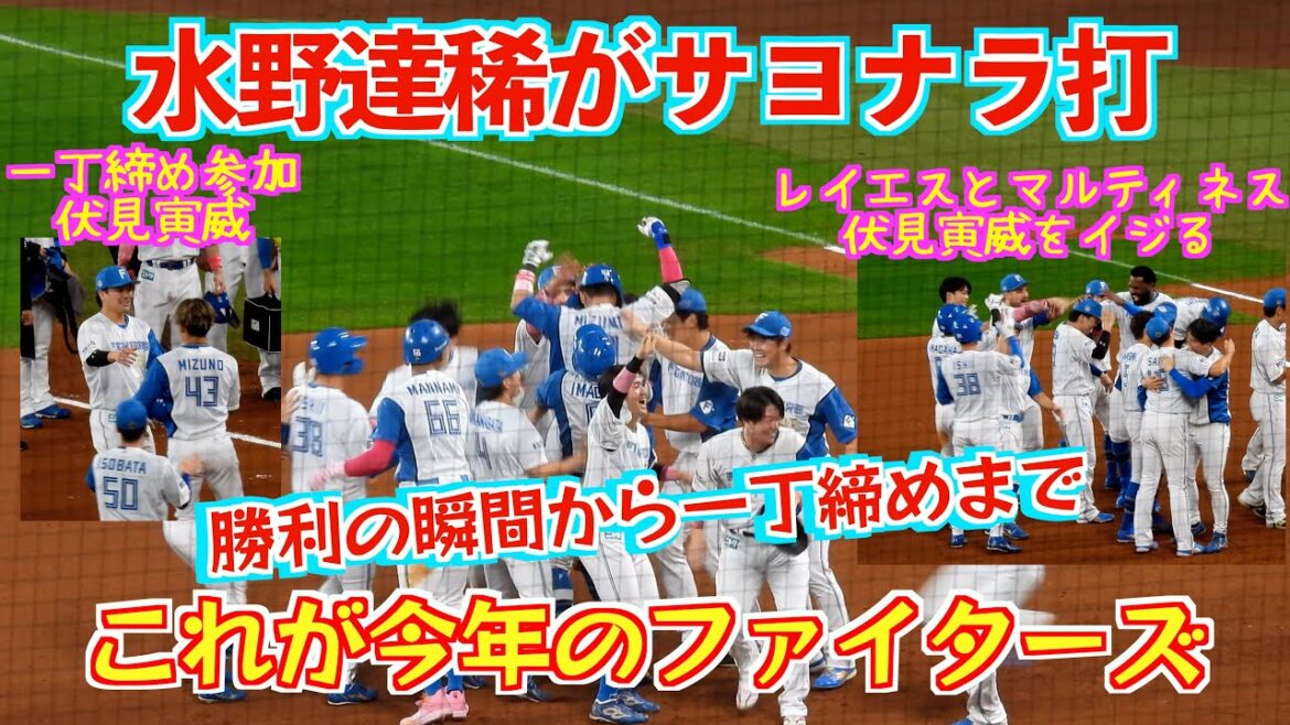 【20240512】水野達稀の一撃が劇的サヨナラ。伏見寅威推しの方おすすめ。勝利の瞬間から一丁締めまで