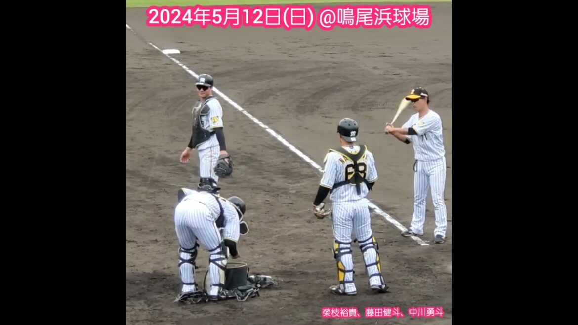 20240512　試合前ﾉｯｸに参加する捕手陣　#shorts　#中川勇斗　#藤田健斗　#榮枝裕貴　#栄枝裕貴　@阪神鳴尾浜球場［ｳｴｽﾀﾝ･ﾘｰｸﾞ 2軍戦］鳴尾浜