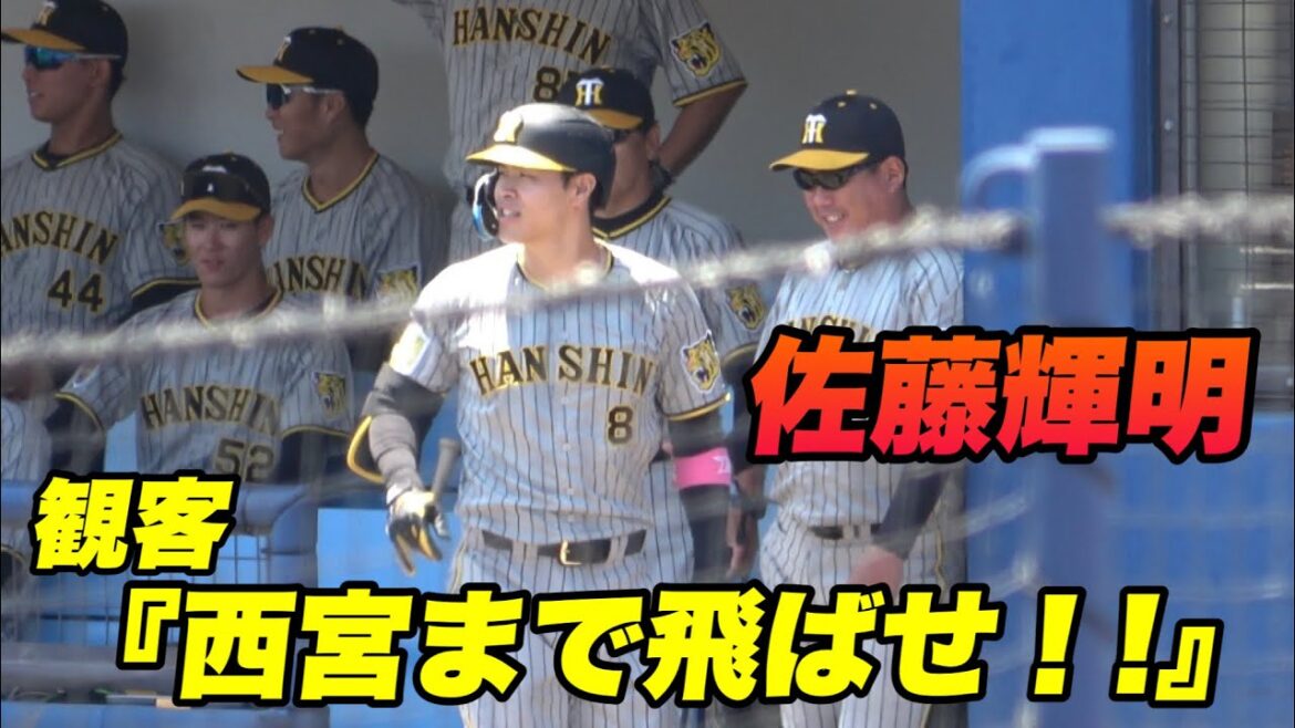【1人歓声が違う！！やっぱりみんなテルが大好き！！佐藤輝明の3打席ハイライト！】2軍 阪神対中日