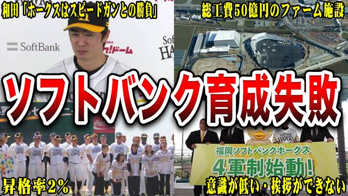 【悲報】ソフトバンクの若手が育たない件について 【悲報】ソフトバンクの若手が育たない件について