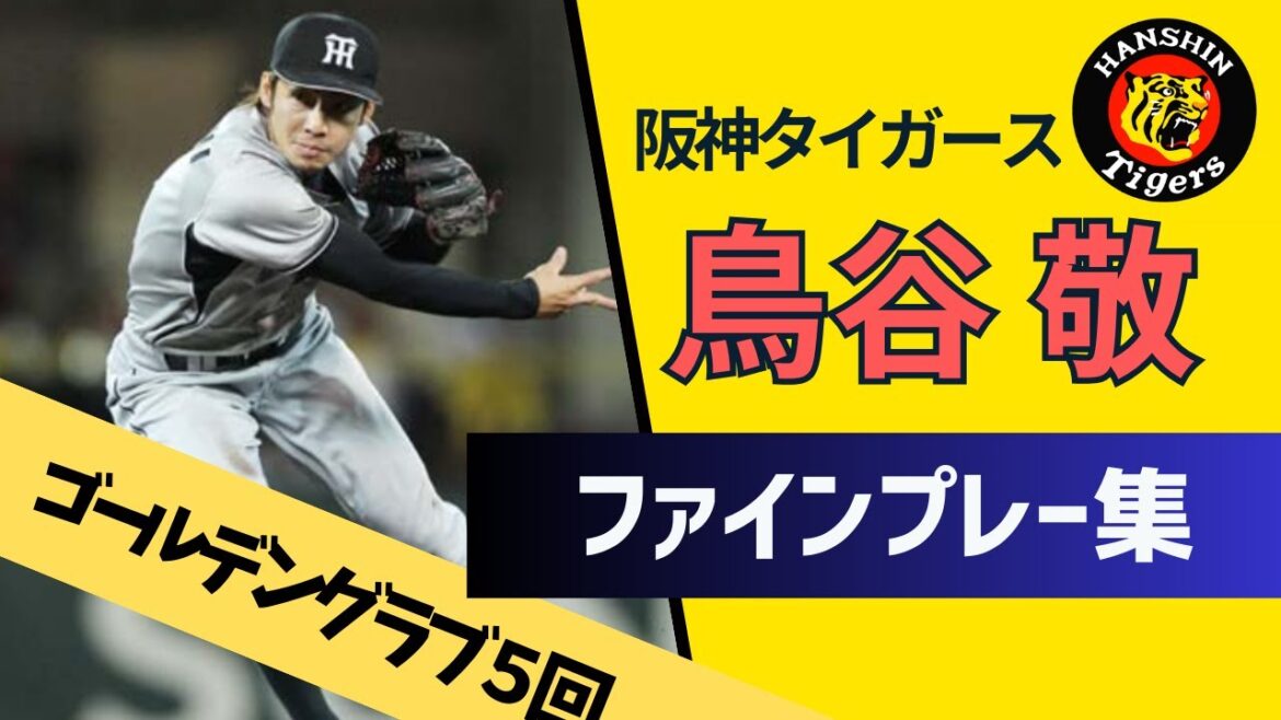 【阪神タイガース】鳥谷敬ファインプレー集【ゴールデングラブ５回の華麗な守備】