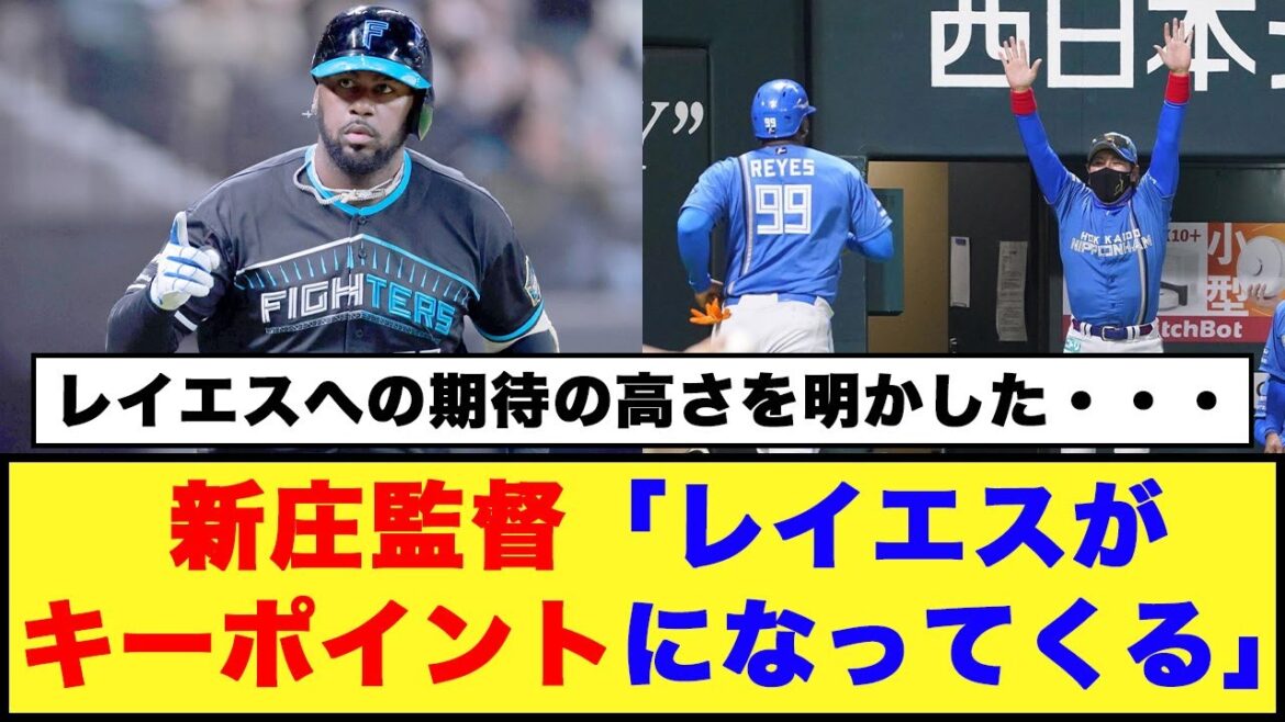 【日本ハム】新庄監督「レイエスがキーポイントになってくる」「現在２軍の助っ人へメッセージ」【日本ハム反応集】【ネットの反応】#日本ハムファイターズ #新庄監督 #レイエス