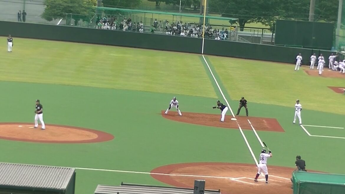 三ツ俣大樹を会うちとる小野郁2024年5月12日  ヤクルトスワローズ対ロッテマリーンズ