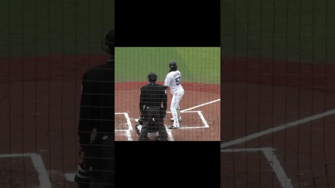 マリーンズ 小川龍成の2024バッティングフォーム千葉ロッテマリーンズ対ソフトバンクホークス2024年3月8日