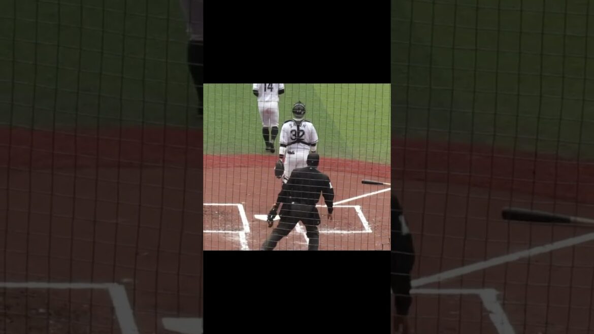 ホークス タイムリー時の緒方理貢 バッティングフォーム千葉ロッテマリーンズ対ソフトバンクホークス2024年3月8日