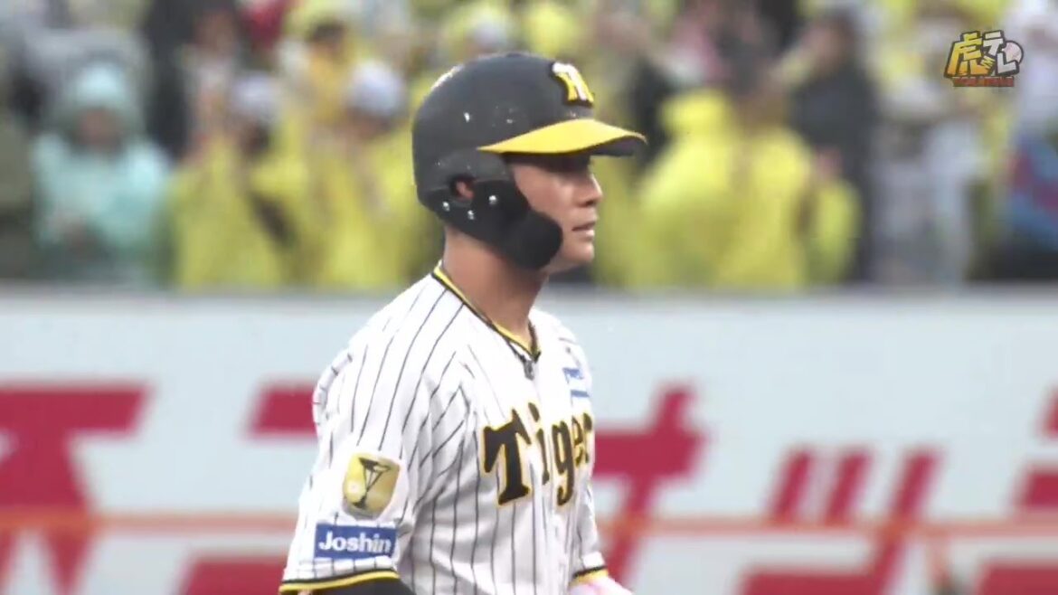 【満塁男】8回裏、#木浪聖也 選手がセンターオーバーに2点タイムリーツーベースヒットを放つ！【2024/5/19Ｔ－Ｓ】