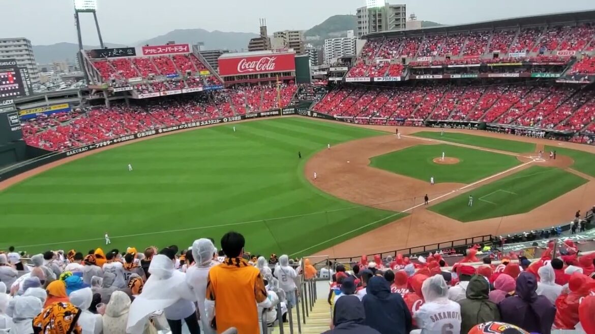 20240420　△　亀井善行を継承した【吉川尚輝 専用コール】6回表　読売ｼﾞｬｲｱﾝﾂ(巨人)@MAZDA Zoom-Zoom ｽﾀｼﾞｱﾑ広島･ﾋﾞｼﾞﾀｰﾊﾟﾌｫｰﾏﾝｽ