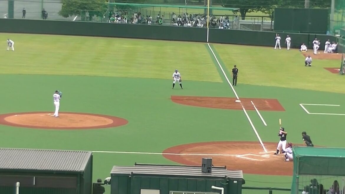 代打 菅野剛士をファーストゴロに打ち取る山野太一2024年5月12日  ヤクルトスワローズ対ロッテマリーンズ