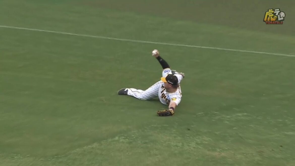 【球際】7回表、#ノイジー 選手がレフトフライを好捕！最後は右手で冷静にキャッチ！【2024/5/19Ｔ－Ｓ】