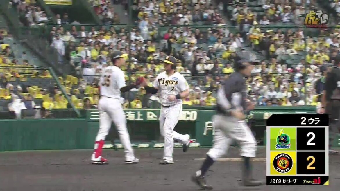 【2者連続犠飛】2回裏、#木浪聖也 選手のライト犠牲フライで同点に追いつく！【2024/5/19Ｔ－Ｓ】