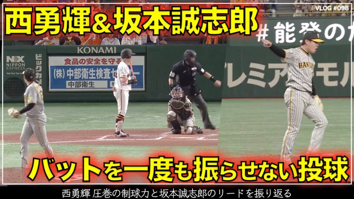 【阪神タイガース】20秒でわかる 西勇輝 圧巻の制球力と坂本誠志郎のリード（阪神対巨人 第8戦）