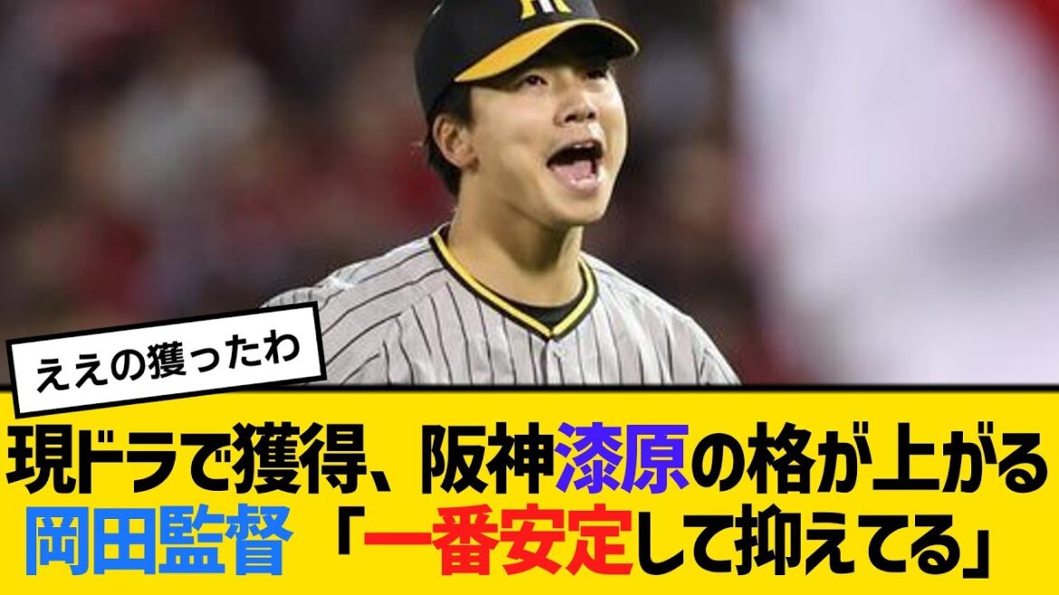 現ドラで獲得、阪神漆原の格が上がる。岡田監督「一番安定して抑えてるよなあ」　【2ch】【5ch】【反応】