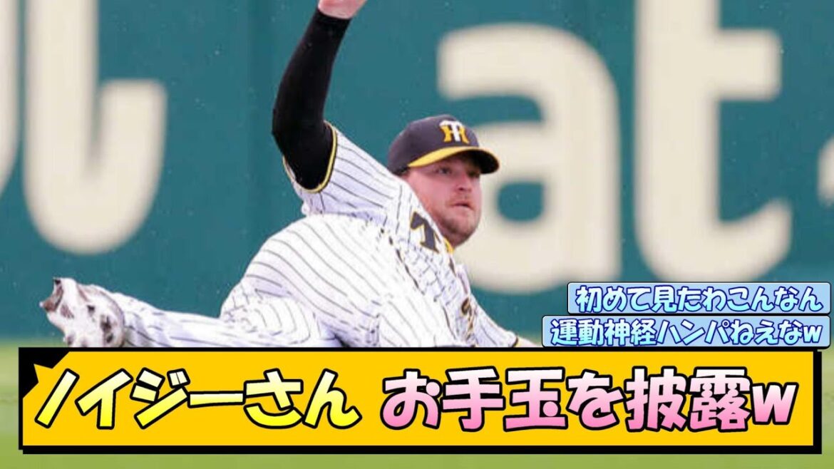ノイジーさん 守備でお手玉を披露して甲子園を沸かせるwww【なんJ/2ch/5ch/ネット 反応 まとめ/阪神タイガース/岡田監督】