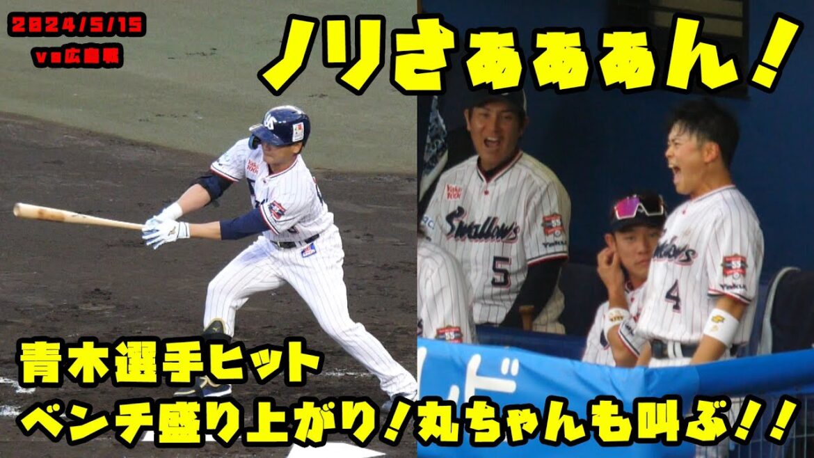 青木選手ヒットを放ち　ベンチ大盛り上がり！丸ちゃんも叫ぶ！！　2024/5/15 vs広島