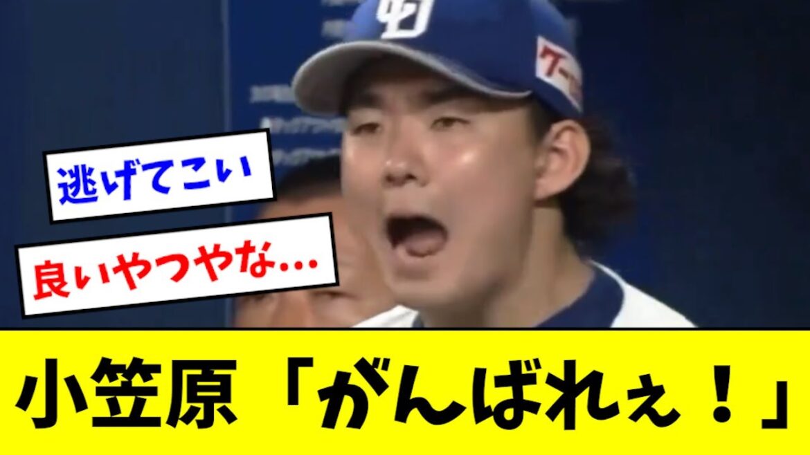 【悲報】小笠原慎之介、マジで可哀想すぎる