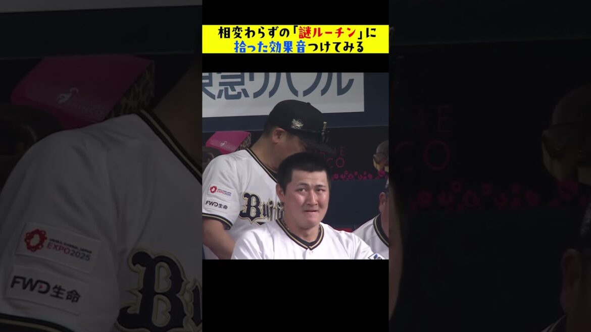相変わらずの「謎ルーチン」に拾った効果音をつけてみた #shorts